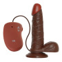 Vibratore realistico real rapture Brown 6.5'' Dildo Vibrante