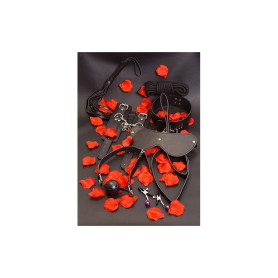 BDSM STARTER KIT
